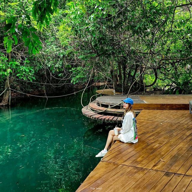 ร้านอาหาร และคาเฟ่ ท่ามกลางธรรมชาติ กระบี่