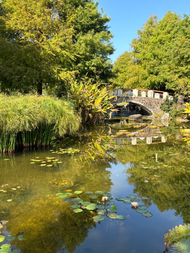 琵琶湖の魅力