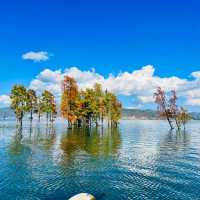 Dali: A Cultural and Scenic Gem in Yunnan