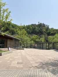 Hangzhou | The Must visit museum of Lin’an, Hangzhou