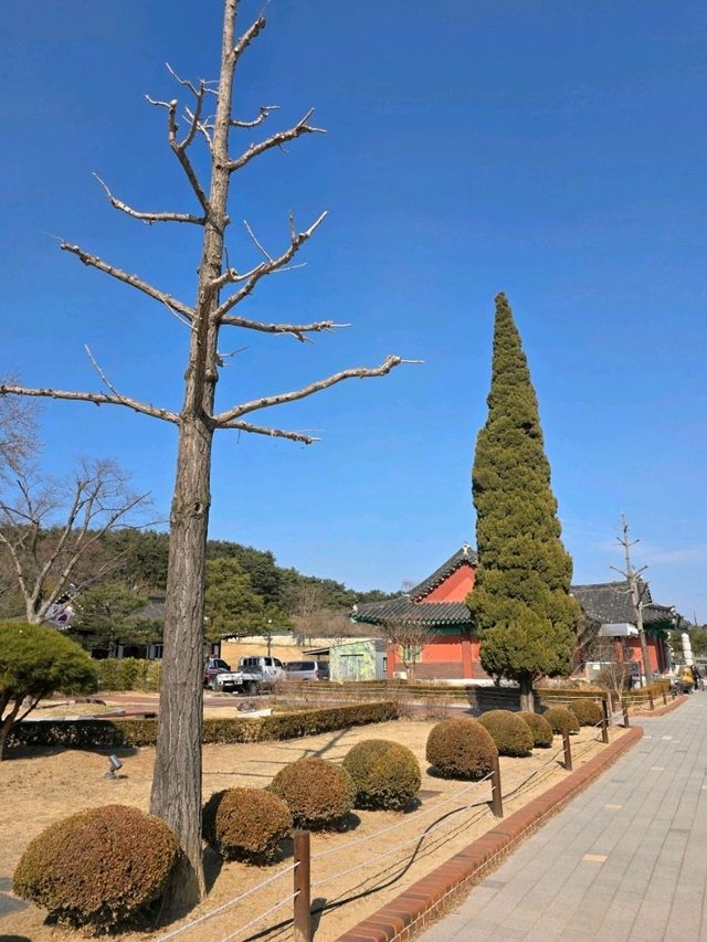 🌲🍂강원도 강릉 여행지 명소 강릉 오죽헌 