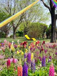 The Beijing World Flower Grand View Garden