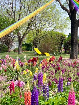 The Beijing World Flower Grand View Garden