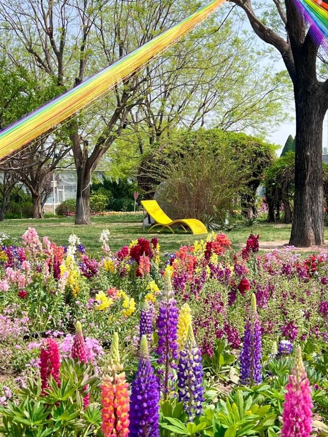 The Beijing World Flower Grand View Garden
