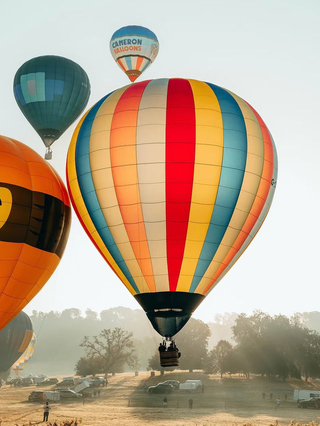 A Romantic Escape from London: Soar Over Giraffes and Castles in a Hot Air Balloon