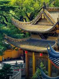 上海‼️東林寺
