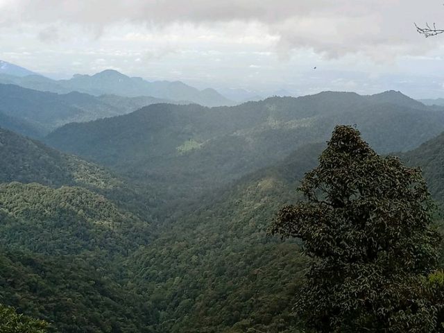 Cameron Highlands trek