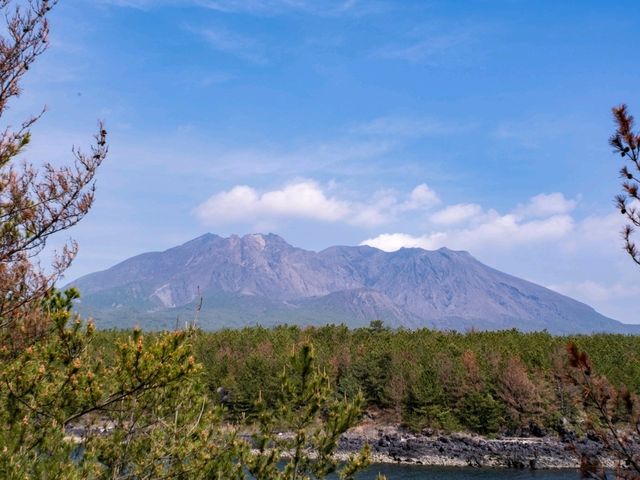 【鹿児島】県民に愛される桜島は圧巻
