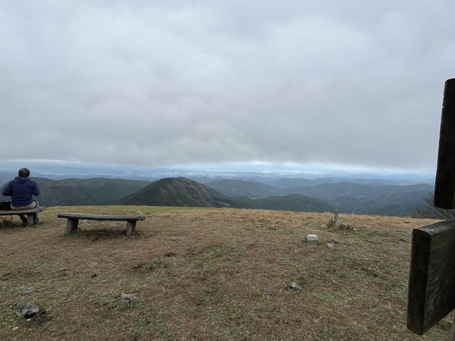 【大洞山〜尼ヶ岳】⛰️ 関西百名山