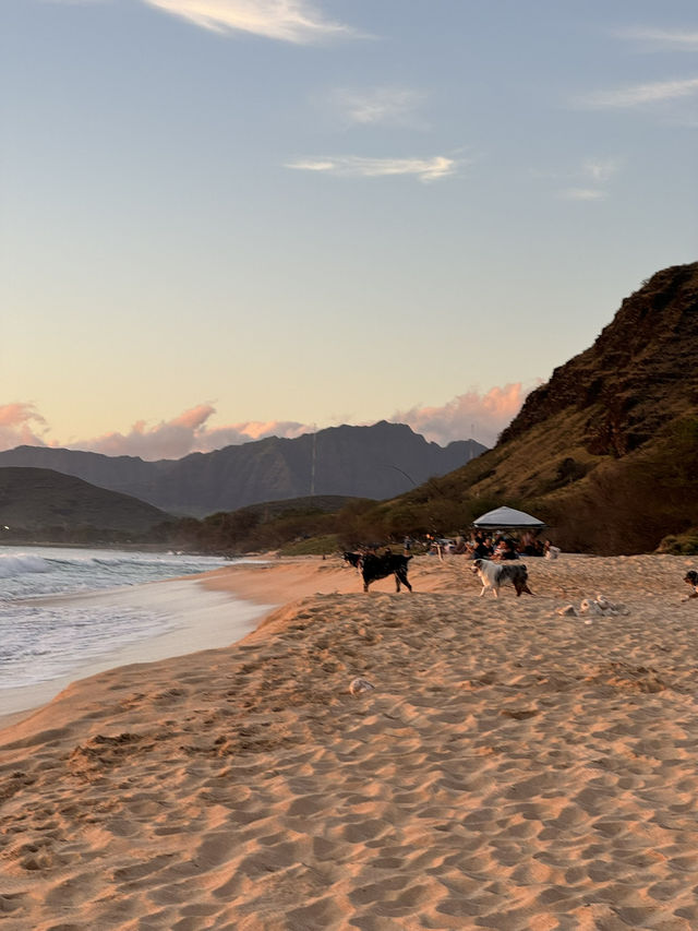 🏝️ 하와이 바다별 특징 및 비교, 나에게 맞는 해변 찾기! 