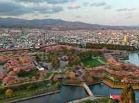 日與夜賞櫻：北海道五稜郭公園