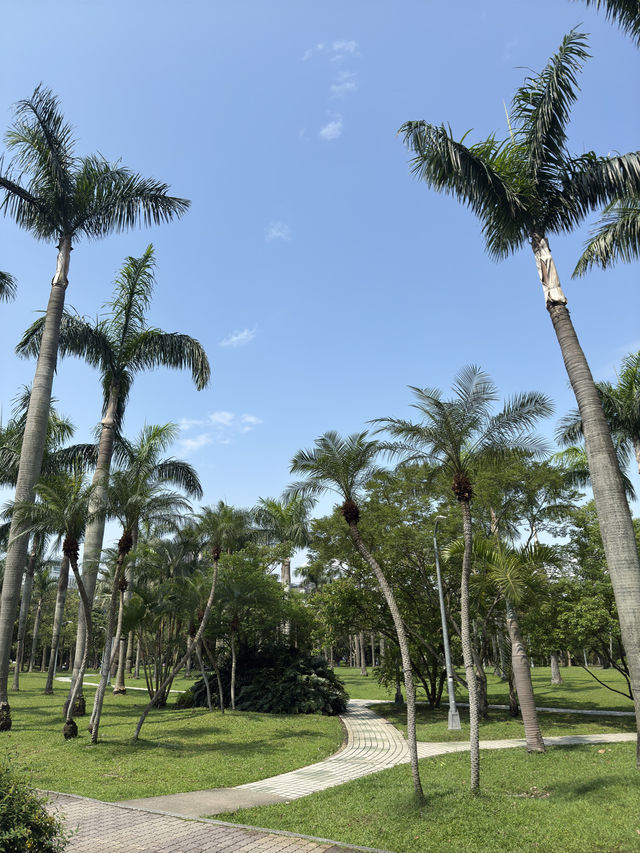 台北｜大安森林公園一日遊