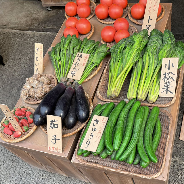 【所沢🇯🇵】レトロ可愛い！西武園ゆうえんち