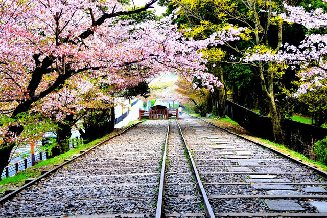 🚂🌸 Keage Incline: Kyoto’s Most Instagram-Worthy Abandoned Railway! 🌸🚂