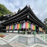【鎌倉】花の寺として親しまれている長谷寺 見所満載