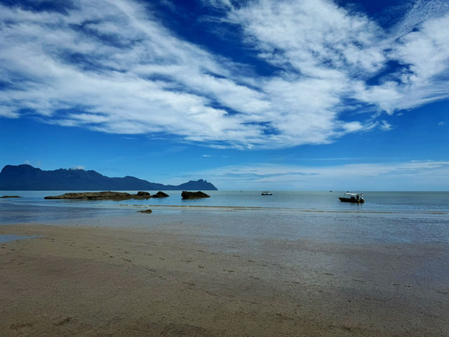 Whispers of the Wild: Sharing Thoughts After an Unforgettable Journey to Bako National Park