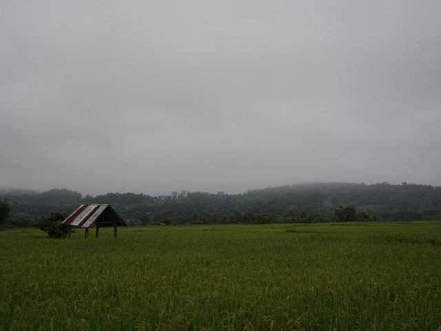 เมืองคอง อ.เชียงดาว จ.เชียงใหม่