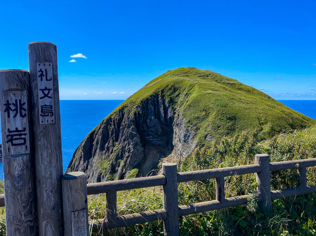 花と断崖が織りなす！桃岩トレッキングで絶景満喫