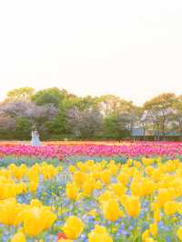 GWここにいこう！花畑【三重】