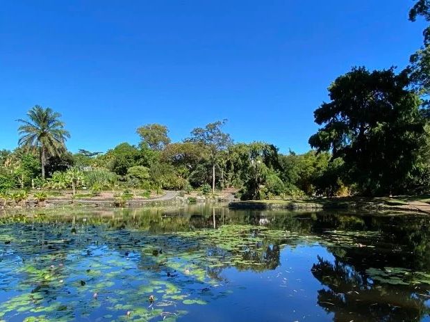 🌿🌸 Brisbane Spring Weekend: River Walks, Blooms & Rooftop Views