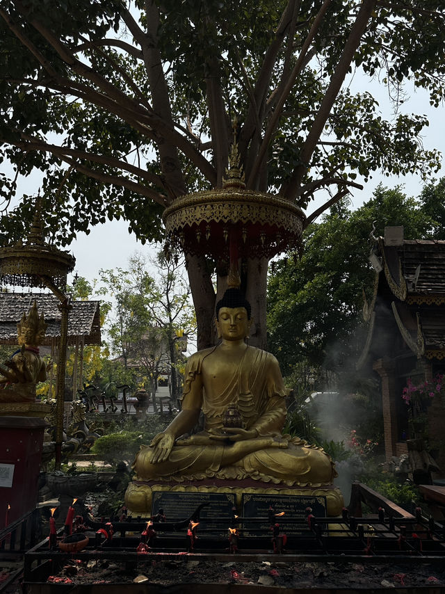 📌 พิกัดสายมู @วัดโลกโมฬี 🏛️🙏🏻✨