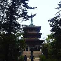 Zenkoji Temple Nagano 