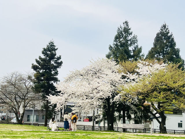 弘前れんが倉庫美術館 