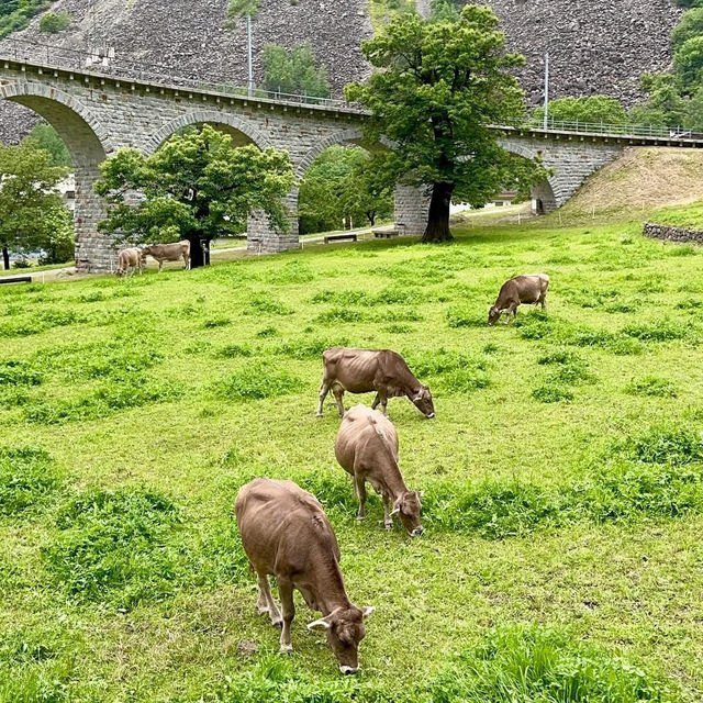🚂✨ "A Weekend of Alpine Magic from Chur to Tirano