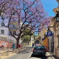Lisbon 