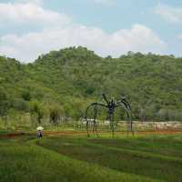 % ARABICA • Khaoyai Art Forest 🌳🪵🌸🌨