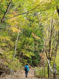계곡도 있고 단풍도 있고 억새도 있는 가을 간월산⛰️