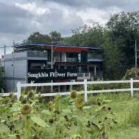 Songkhla Flower Farm สวนดอกไม้แห่งแรกในสงขลา