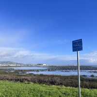 Something different to do in SFO Long Layover with Spectacular Aviation view & Bayfront Walk.
