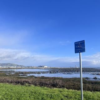 Something different to do in SFO Long Layover with Spectacular Aviation view & Bayfront Walk.