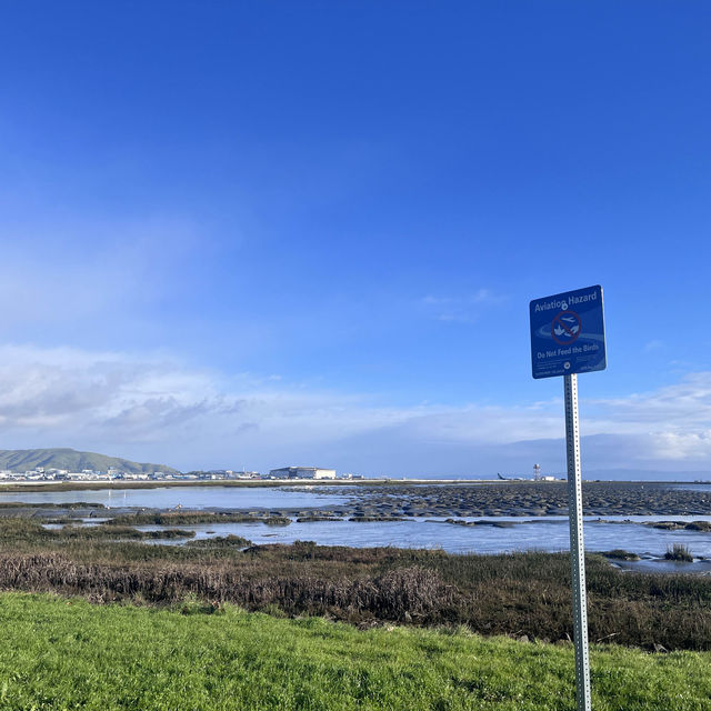 Something different to do in SFO Long Layover with Spectacular Aviation view & Bayfront Walk.