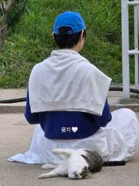 통영 감성 한 스푼, 통영 매력 두 스푼 