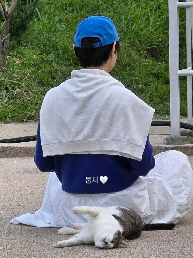 통영 감성 한 스푼, 통영 매력 두 스푼 