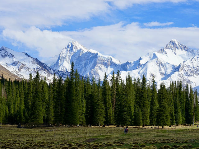 Xinjiang – Spring Blooms on the Edge of the Steppe