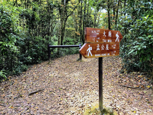 釣魚翁 (High Junk Peak)