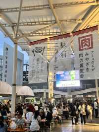 宮崎市區與空港