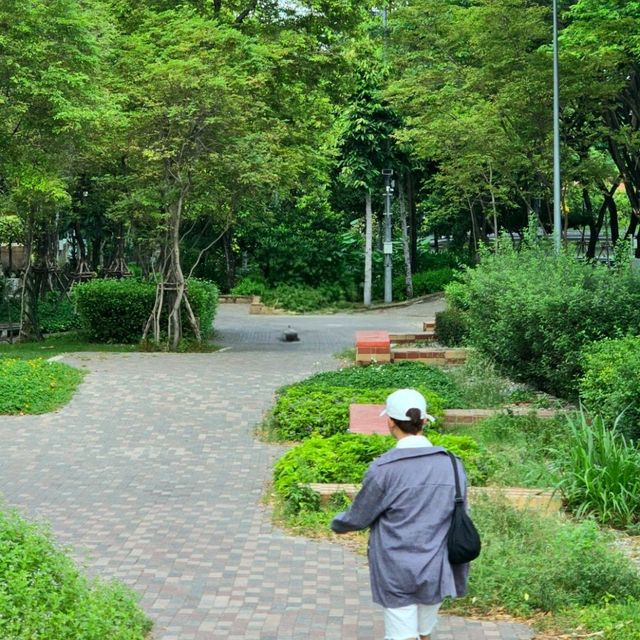 สวนอุทยาน 100 ปี จุฬาฯ