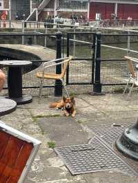 A day in Bristol