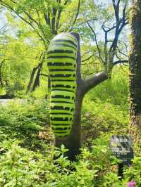 Spring Trip to Buramsan Azalea Hill in Seoul