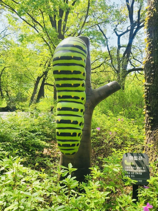 Spring Trip to Buramsan Azalea Hill in Seoul