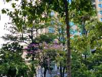 Taichung in Spring — Parks, People & Petals