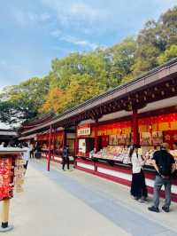 日本自由行必去城市！一關鍵打趴其他地區