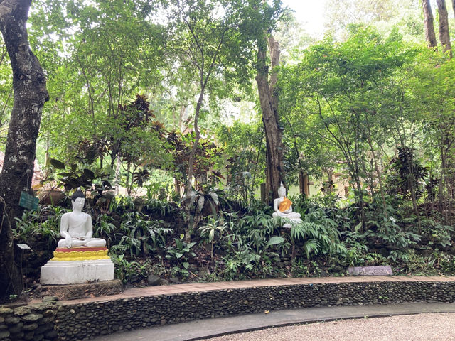เที่ยวธรรมชาตินั่งสมาธิสงบ “วัดผาลาด” 