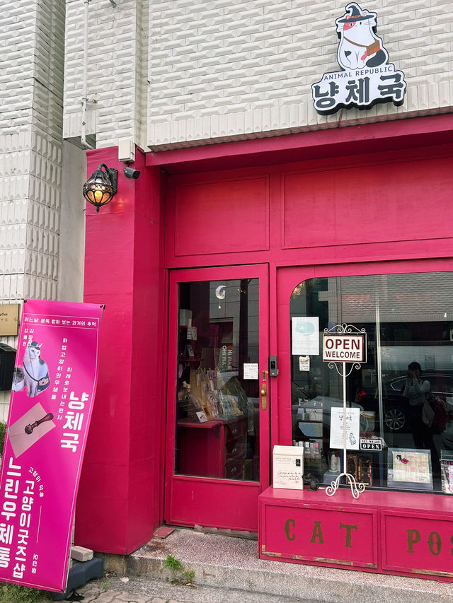📮 고양이와 편지 한 잔, 냥체국에서의 따뜻한 시간