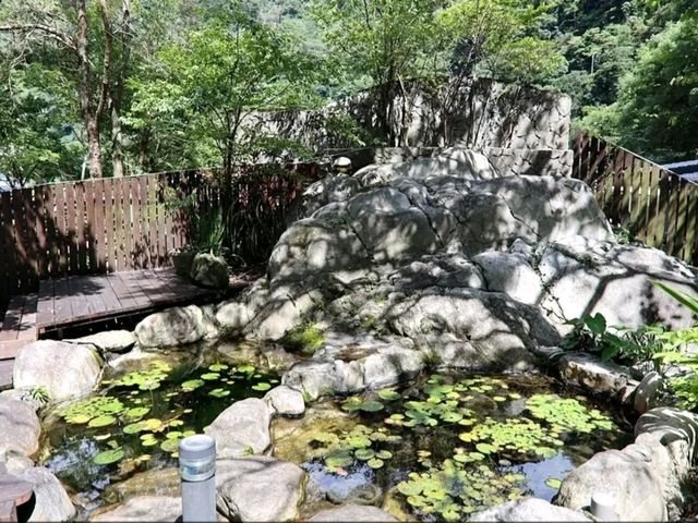 谷關溫泉｜谷關溫泉飯店｜雙人親子芬多精假期森林步道｜露天大眾SPA｜台中高CP值溫泉住宿｜台中景點｜台中兩天一夜行程推薦