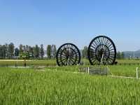 中山南朗左步村